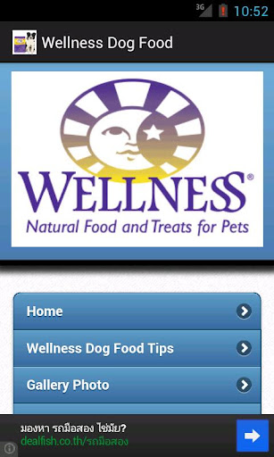 Wellness Dog Food Tips