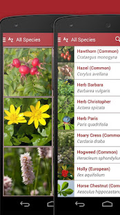 Wild Berries and Herbs 2 LITE(圖4)-速報App