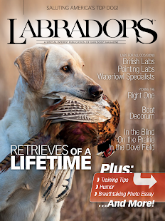 How to get Labradors 1.0.2 apk for laptop