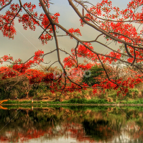 telaga ngipik gresik by Rizal Debby - Landscapes Travel