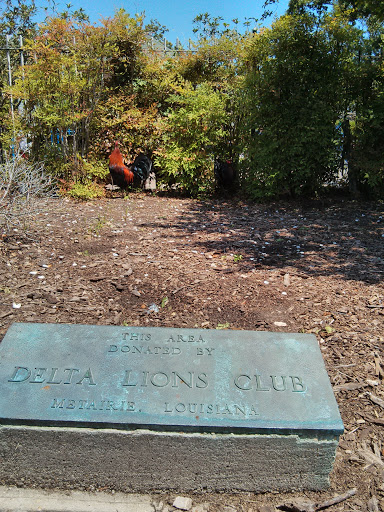 Delta Lions Club Donation