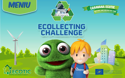 Ecollecting Challenge poster 8