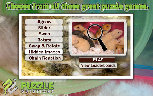 Hamster Puzzles