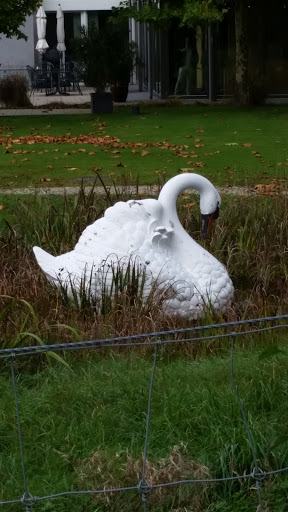 Giant Swan