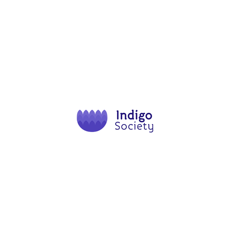 Peter indigo sin. Indigo. Web Indigo. Загрузка индиго что значит