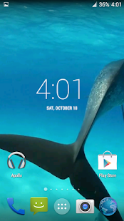 Dolphins HD. Video Wallpaper(圖4)-速報App