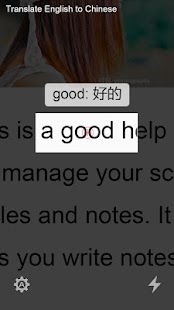 Camera Translator Screen 2