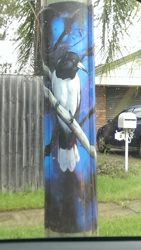 Magpie Phone Pole Mural