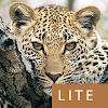 Mammals of SA Lite