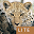 Mammals of SA Lite Download on Windows
