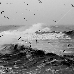 Black Sea by Stramboaia Gelu - Black & White Landscapes