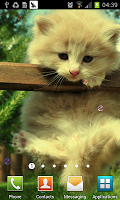 Dream Cat LiveWallpaper APK ภาพหน้าจอ #2