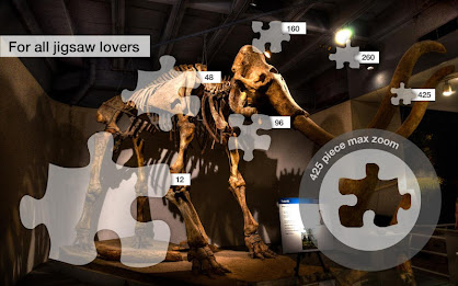 Dallas Jigsaw Puzzles Demo poster 2