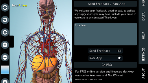 Female Anatomy 3D - Anatronica