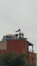 Roof Cow