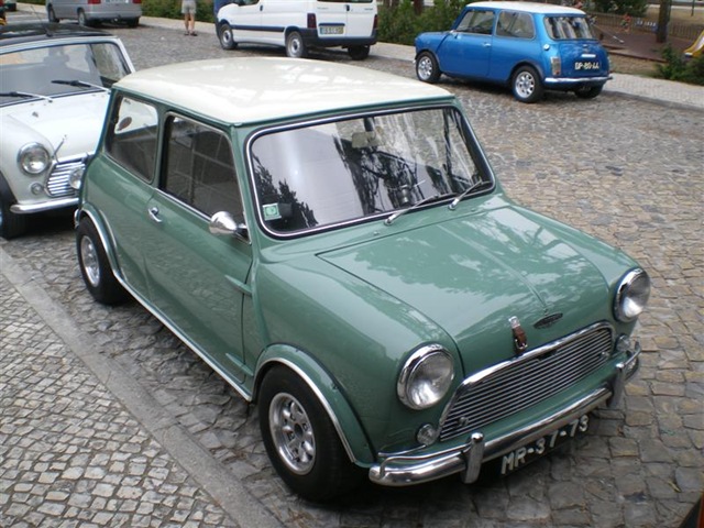 [IMGP1198 (Medium)[2].jpg]