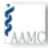AAMC 2010 logo