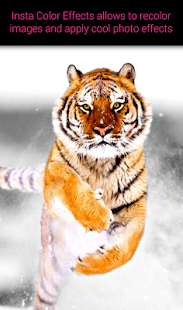 Insta Color Effects - náhled