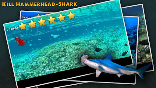 Kill Hammerhead Shark