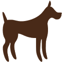 Dogecoin icon