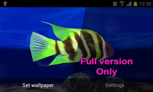 How to mod My Seaturtles HD FREE LWP 1.0 apk for pc