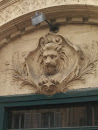 Tête De Lion
