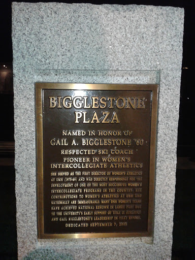 Bigglestone Plaza