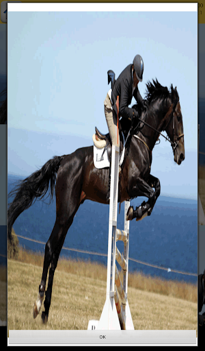 Equitation Games