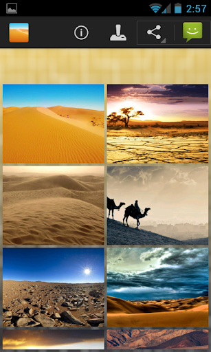 Desert Wallpapers