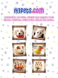 143pets Cute Videos poster 1