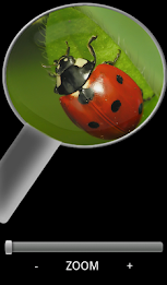 Magnifying Glass Free poster 1