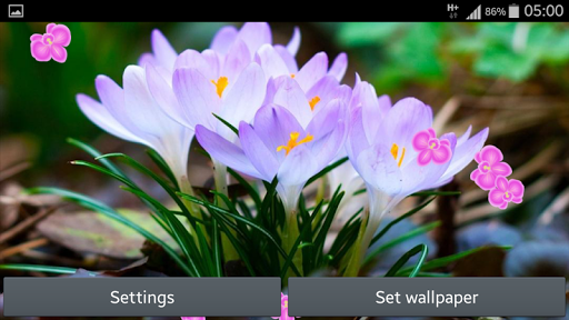 【免費個人化App】鮮花動畫壁紙-APP點子
