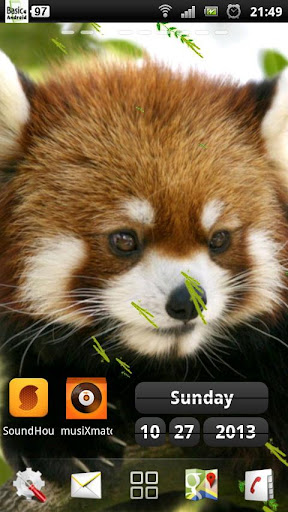 免費下載個人化APP|Red Panda Live Wallpaper app開箱文|APP開箱王