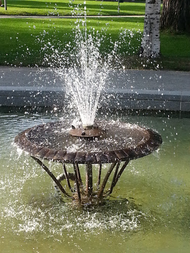 Snellman Park Fountain