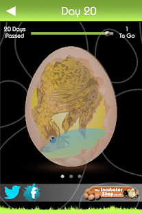 iHatch-Chickens(圖5)-速報App