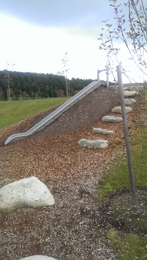 Hillside Slide