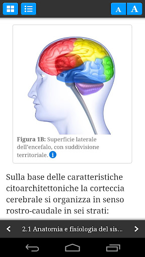 EEG Guide