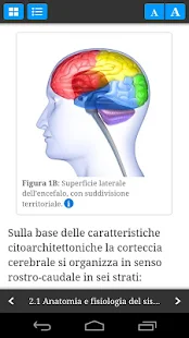EEG Guide