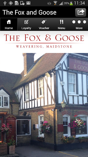 The Fox And Goose