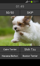 Guess the puppy poster 5