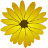 Medicinal Herbs icon