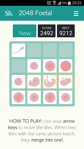 2048 Foetal Beta