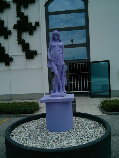 Quinto-Statua della Venere Viola