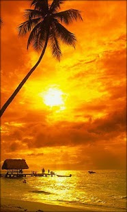 How to get sunset wallpapers patch 2.2.1 apk for android