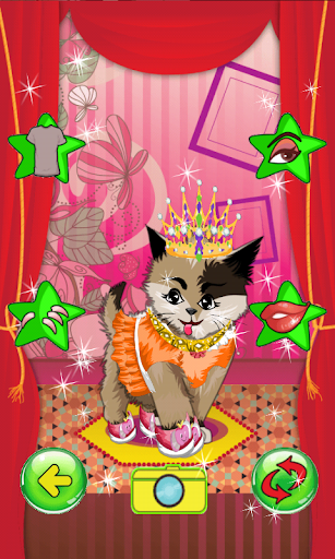 免費下載家庭片APP|Cute Kitties Salon app開箱文|APP開箱王