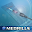 Medrills: Medication Port Download on Windows