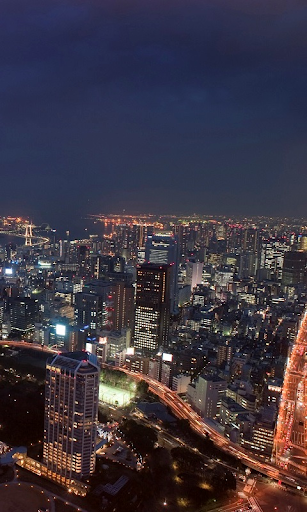 東京の超高層ビル