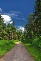 The Long and Winding Road by Pete Watson -  