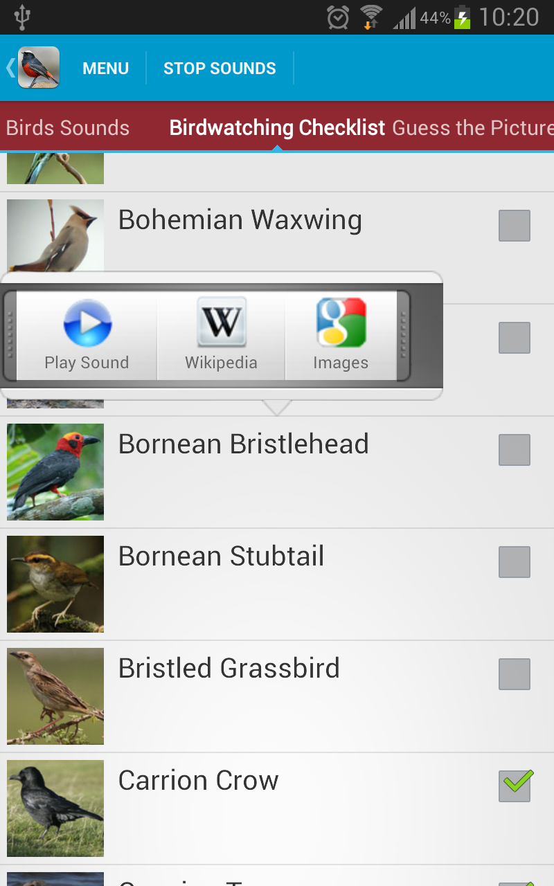 Asian Birds Sounds Screen 3