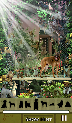 【免費休閒App】Hidden Object - Let Dogs Out!-APP點子